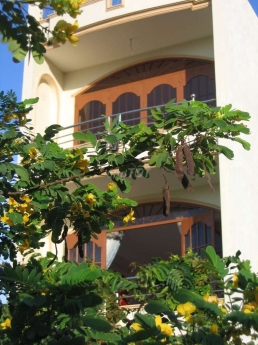 Cho thuê nhà nguyên căn để ở hoặc kinh doanh