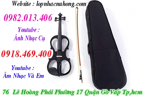 Đàn violin điện tử tại Tp.Hồ Chí Minh