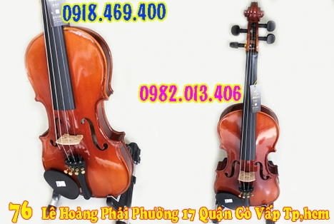 Bán đàn violin giá rẻ cho người mới tập chơi
