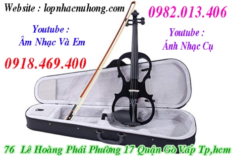 Đàn violin điện tử tại Tp.Hồ Chí Minh