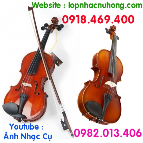 Bán đàn violin giá rẻ cho người mới tập chơi