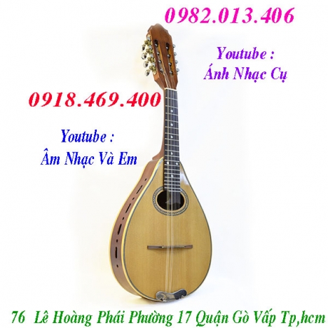 Cửa hàng bán đàn mandolin gỗ chất lượng uy tín gò vấp