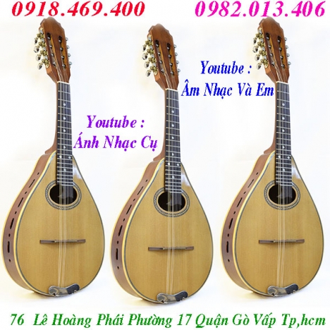 Cửa hàng bán đàn mandolin gỗ chất lượng uy tín gò vấp