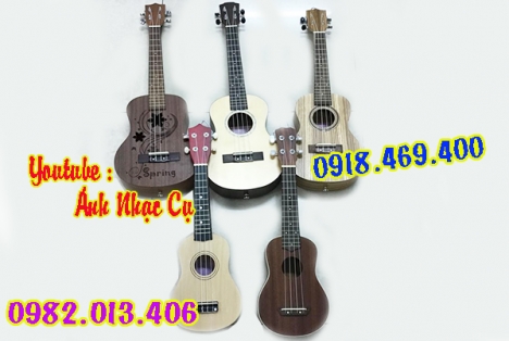 Mua Đàn Ukulele chính hãng, giá ưu đãi tại tphcm