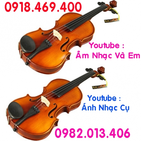 Bán đàn violin giá rẻ cho người mới tập chơi
