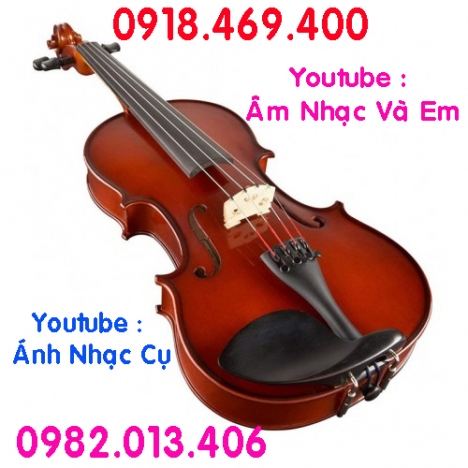 Bán đàn violin giá rẻ cho người mới tập chơi