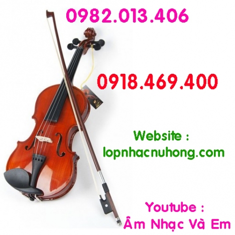 Bán đàn violin giá rẻ cho người mới tập chơi