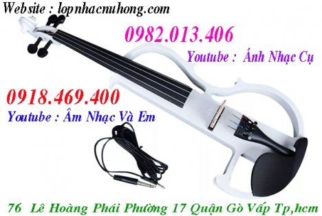 Đàn violin điện tử tại Tp.Hồ Chí Minh