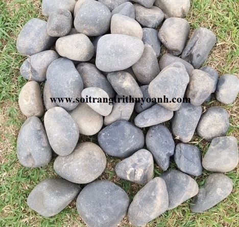 Sỏi đen tự nhiên rải rãnh hồ bơi
