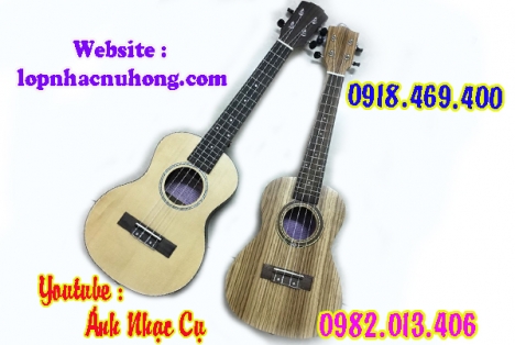Mua Đàn Ukulele chính hãng, giá ưu đãi tại tphcm