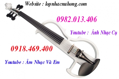 Đàn violin điện tử tại Tp.Hồ Chí Minh