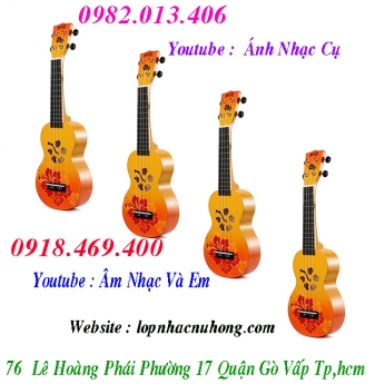 Mua Đàn Ukulele chính hãng, giá ưu đãi tại tphcm