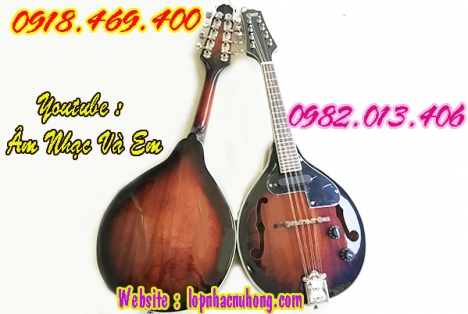 Cửa hàng bán đàn mandolin gỗ chất lượng uy tín gò vấp
