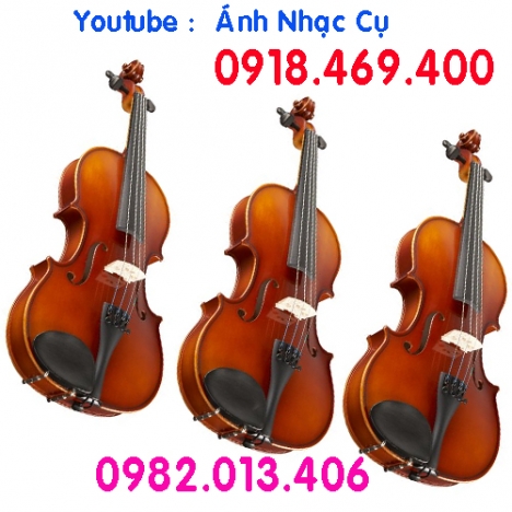 Bán đàn violin giá rẻ cho người mới tập chơi