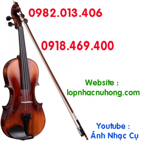 Bán đàn violin giá rẻ cho người mới tập chơi