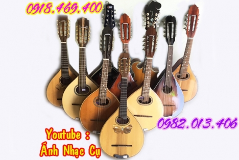 Cửa hàng bán đàn mandolin gỗ chất lượng uy tín gò vấp