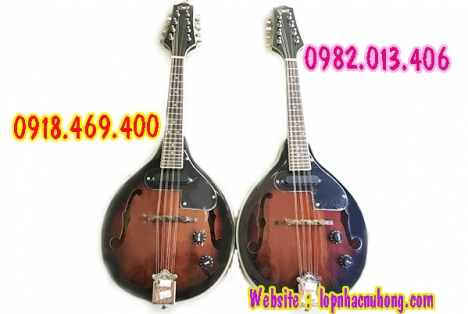 Cửa hàng bán đàn mandolin gỗ chất lượng uy tín gò vấp
