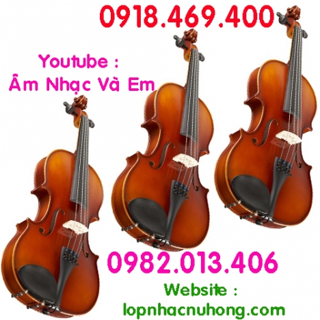 Bán đàn violin giá rẻ cho người mới tập chơi