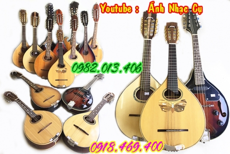 Cửa hàng bán đàn mandolin gỗ chất lượng uy tín gò vấp