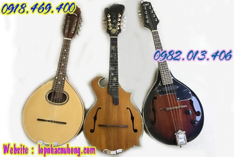 Cửa hàng bán đàn mandolin gỗ chất lượng uy tín gò vấp