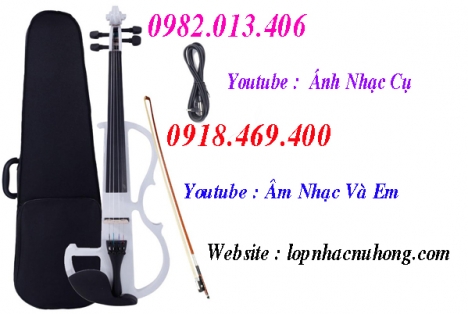 Đàn violin điện tử tại Tp.Hồ Chí Minh