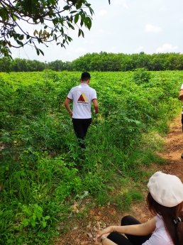 ĐẤT TÂN HIỆP, TÂN CHÂU, TÂY NINH