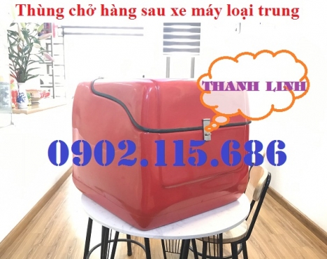 Thùng chở hàng loại trung 1