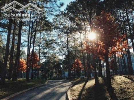 cần bán gấp đất chính chủ bảo lộc full thổ cư tỉnh lâm đồng