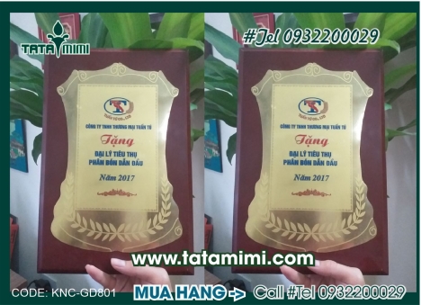 Cung cấp Kỷ Niệm Chương bằng Mica chất lượng