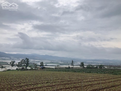 bán nửa sào đất nghỉ dưỡng chỉ 450tr tặng ngay 100m thổ cư