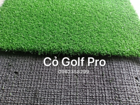 Cỏ Golf pro cao cấp sẵn kho