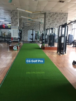 Cỏ Golf pro cao cấp sẵn kho