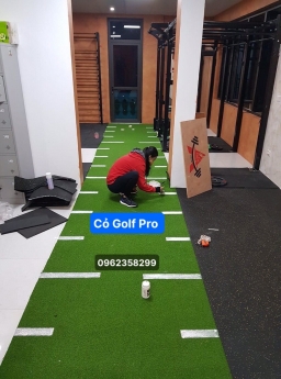 Cỏ Golf pro cao cấp sẵn kho