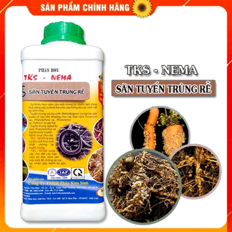 NẤM SĂN TUYẾN TRÙNG RỄ TKS - NEMA