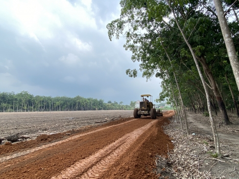 Đất Nền Đầu Tư - An Cư Lý Tưởng