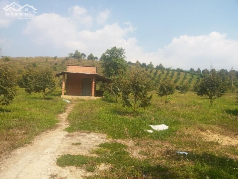 Bán 12,353.8m2 đất vườn bắc bình cách liên huyện 2 lô vuông đẹp Lh 0938677909
