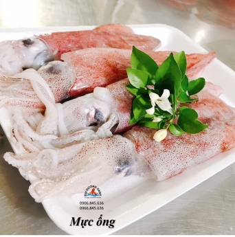 Cung cấp mực ống mi nơ tại tp Hồ Chí Minh