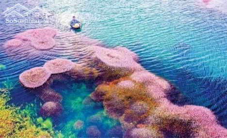 Cần bán gấp đất thổ cư trong tuần 240m2 (10x24m) tại TP Bảo Lộc Lâm Đồng