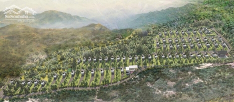 Về Bảo Lộc săn mây chỉ 1,1tr/m2. Sổ từng lô, đường nhụa nhà nước 700m