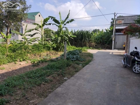 Bán gấp 242m2 và 227m2 thổ cư gần trung tâm TP Bảo Lộc