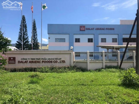 Sở hữu đất nền - sổ riêng - có thổ cư, ngay khu công nghiệp Ka Đô chỉ hơn 400 triệu