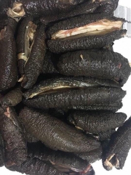 Địa chỉ bán hải sâm đen tươi ngon ở hà nội