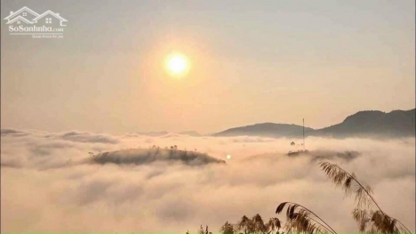 giá ngộp cho các nhà đầu tư