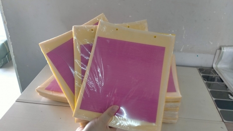 Combo 10 Miếng - KEO DÍNH RUỒI VÀNG - Không Độc Hại Cho Cây Trồng Và Con Người
