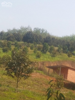 Bán 6396m2 đất nông nghiệp phan thanh gần QL và kênh nước 703tr Lh 0938677909