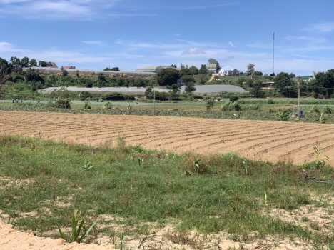 Bán Đất Nền Ven Đà Lạt