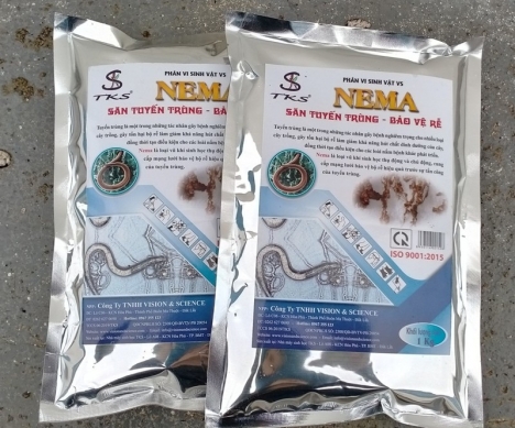 PHÂN VI SINH VẬT VS  - NEMA - SĂN TUYẾN TRÙNG  -  BẢO VỆ RỄ - GÓI 1KG
