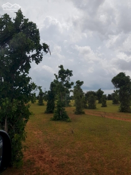 Bán 15,297m2 đất vườn hoà thắng cách ĐT 716 1.2km gần liên huyện Lh 0938677909