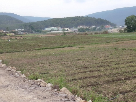 Đất ven Đà Lạt giá đầu tư
