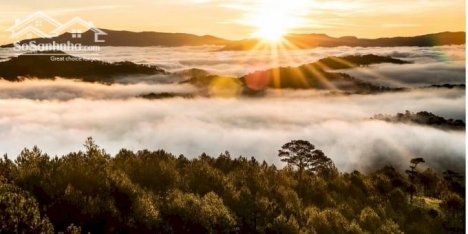 giá đầu tư tốt 500tr tp bảo lộc tỉnh lâm đồng